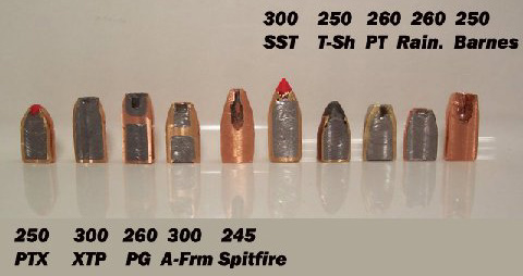 sectioned bullets