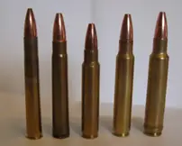 Medium bore African cartridges