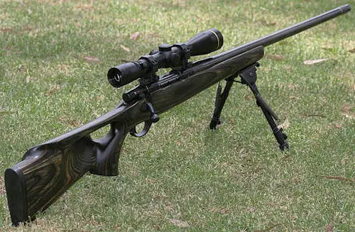Custom built 6.5x47 rifle.