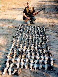 Randy Wakeman with doves