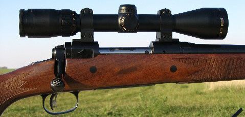 Savage Model 14 W/scope