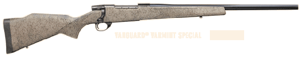 Weatherby Vanguard SUB-MOA Stainless