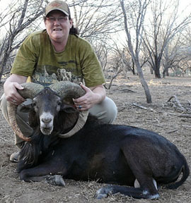 Marys Black Red Sheep, Mar. 2009