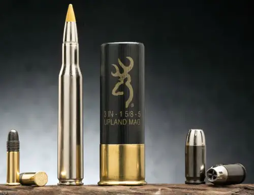 Browning Buckmark cartridges
