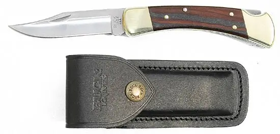 Buck Model 110 Folding Hunter