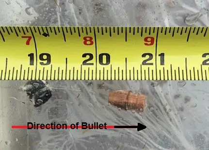 Federal Trophy Copper MZ bullet and sleeve in ballistic gel.