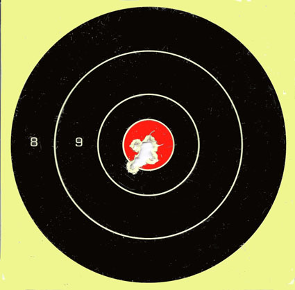 25 yard target with Gamo PBA Platinum pellets.