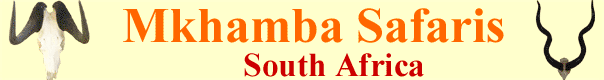 Mkhamba Safaris