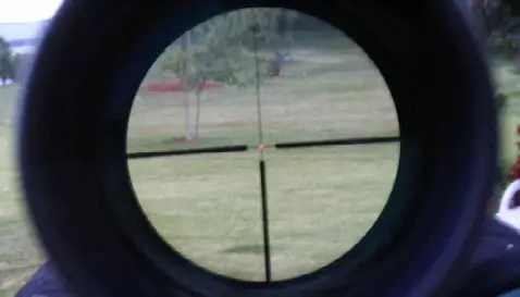 Mueller reticle