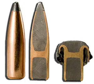 Nosler Partition