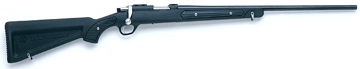 Ruger Model 77/17RMP