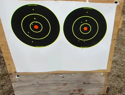 Ruger LCR .22 WMR targets