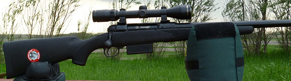 Savage Model 212