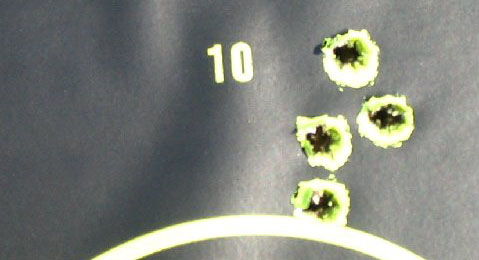 Savage Model 14 target